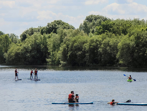 people on paddle boads in lake